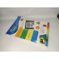 Фотобумага 1х глянец  А4 50л 210гр