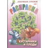 Раскраска. Кустарники и плоды