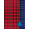 Дневник школьный «Красная и синяя клетка»