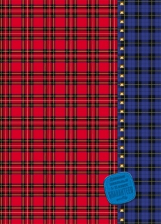 Дневник школьный «Красная и синяя клетка»