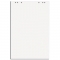 Флипчарт бумажный 20 шт