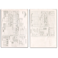 Путевой лист грузовых и легковых автомобилей