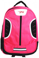 Ранец с ортопедической спинкой